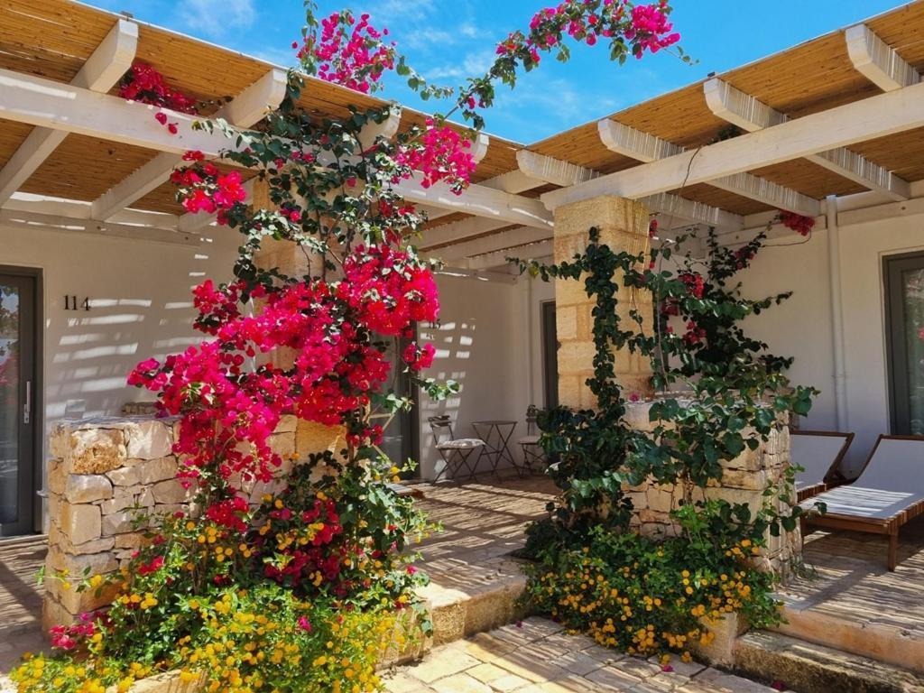 Masseria Baroni Di Montesardo Hotel Lido Marini Ngoại thất bức ảnh